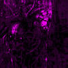 PARALYZED - Slowed + reverb - Mc kraken