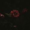 Don't - Victoriya