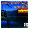 Nature Sounds for Sleep: Heavy Rainfall with Howling Winds(Bonus Track) - Amadeus