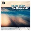 The Moments - Roby Deep