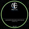 During Flus (Original Mix) - Alessandro diruggiero&Enrico Bellan