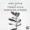 Migration Stories (Original Mix) - Afro Exotiq&TorQue MuziQ