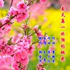 春天再一次预约桃花（王惠原唱） - 陈天仁&王惠&一棵草