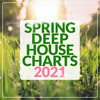 What I Feel (House and Sax Remix) - Arone Clein&Rio Dela Duna&Brockman & Basti M&Sharon May Linn