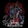 Splurgy of Introduction (Instrumental) - Sribin&Jeevan Anil