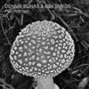 Psychotropic (Original Mix) - Dennis Bunas&Nektarios
