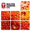 OK! (Radio Edit) - Walter Gardini