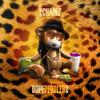 My Songs Know What You Did in the Dark - 2 Chainz