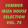 Freewheeling (D House Mix) - Danny Vicious