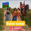 Sukar sukar(feat. Gipsy Midaj) - LIL SAM BYO&Gipsy Midaj