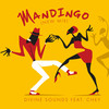 Mandingo (New Mix) - Divine Sounds&Chey