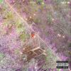 die (feat. Jane Barber) (Explicit) - Kid Krxsh!&Jane Barber