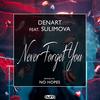 Never Forget You - Denart&Sulimova