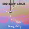 Ordinary Crisis (feat. Matty) (Explicit) - Phanpy&Matty