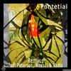 Pontetial (Original Mix) - Remlius&PETERSEN