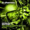 Yes & No (Original Mix) - Sentinel 7&Skylex