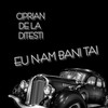 Mi-Ai Dat Viata Peste Cap - Ciprian de la Ditesti