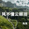 风不懂云眼泪 - 陈恳
