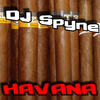 Havana (Radio) - DJ Spyne