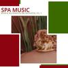 Therapeutic Spa Music (Original Mix) - Manah Banerjee