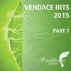 The Endless Journey (Stunning Mix) - Paul Vinitsky