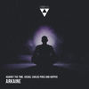 Arkaine III (Original Mix) - Viegas