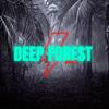 Deep Forest - Anuj&Anuj Sharma