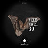 Figurehead (Timo Revna Remix) - Sascha Audit&Timo Revna