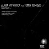 Manipulate (Daniel Meister Remix) - Alpha Hypnotica&Tomin Tomovic
