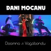 Doamna si Vagabondu - Dani Mocanu