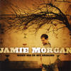 Know She's Beautiful - Jamie Morgan