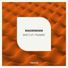 Pheasant (Original Mix) - Macromism