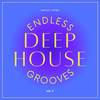 Endless Horizon (Deep Freedom Mix) - Andrey Costantinidis