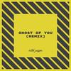 Ghost Of You (Remix) - Victor Pizarro
