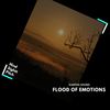 Flood Of Emotions (Original Mix) - Kantha Sound