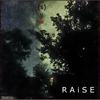 (S)yn - Raise