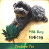 Mid-Day Holiday (Original Mix) - Toeknee Tee