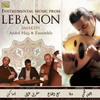 Amaken - Andre Hajj Ensemble