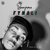 FYNALI (Explicit) - Benijamz