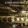 Factory Sounds (Original Mix) - Altered Perception