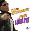 If You Like It (Will Bailey Vocal Dub) - DSL&MC Spanish Fly
