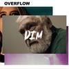 Dim - overflow