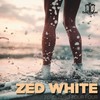 Zero Zero Four Four - Zed White