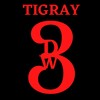 INTRO Pt. 2 Sey Wedey(feat. TDF) - TIGRAY ENT&TDF