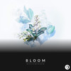 Bloom - musicbyaden