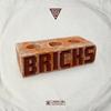 Bricks (Explicit) - Trlg