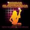 Musica Electronica (Lerouge Epilogue Edition) - Mickey Richards&Dany Lerouge