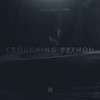 Crouching Python (Original Mix) - Print Screen