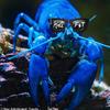 Sea Food - KnG FsT