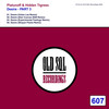 Desire (Shayan Pasha Remix) - Platunoff&Hidden Tigress&Shayan Pasha